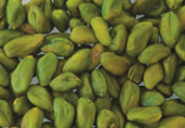 Blanched green pistachio kernels