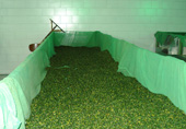 Mechanical drying of kernels