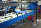 Manual and mechanical quality control including metal detector control